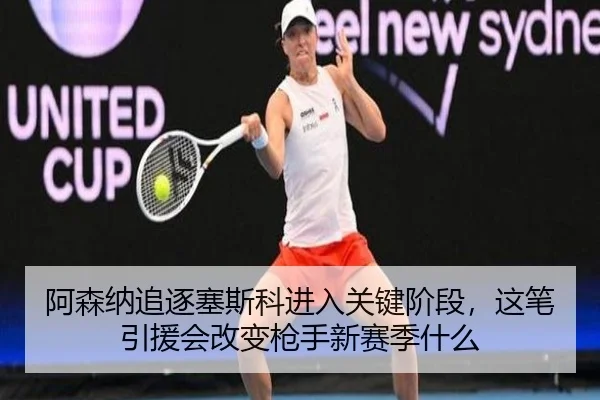 阿森纳追逐塞斯科进入关键阶段，这笔引援会改变枪手新赛季什么